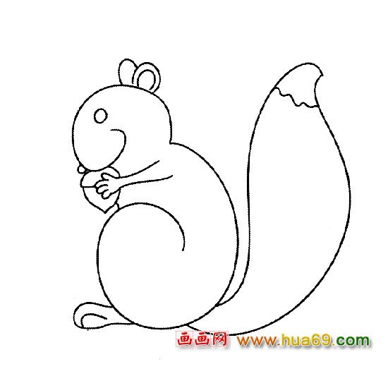 松鼠│动物简笔画2