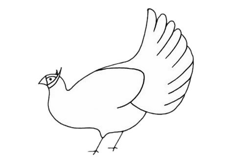 褐马鸡简笔画