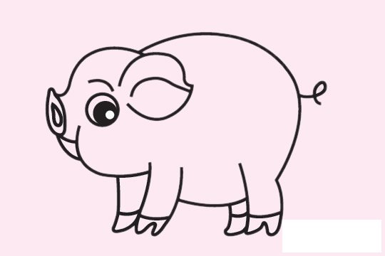 小猪简笔画图片