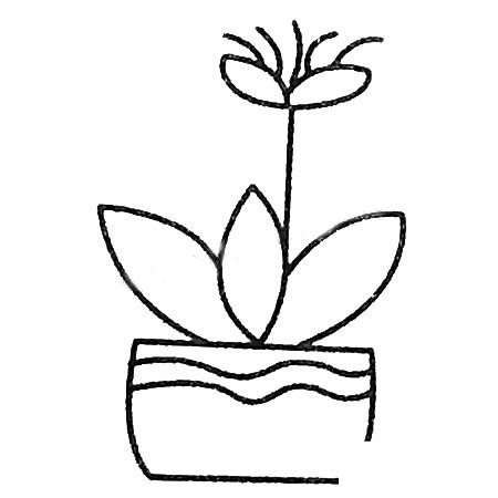 漂亮的花朵盆景简笔画大全