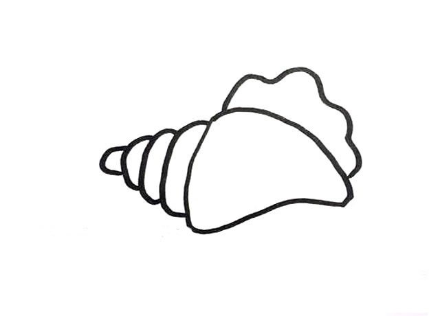 贝壳简笔画图片5
