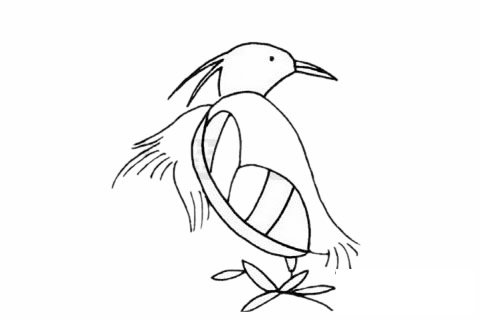 白鹭简笔画图片