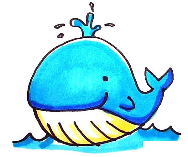可爱的鲸鱼简笔画步骤图解教程