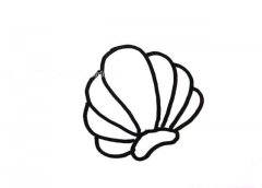 6款贝壳简笔画的简单画法