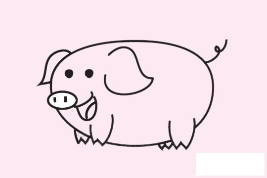 小猪简笔画图片