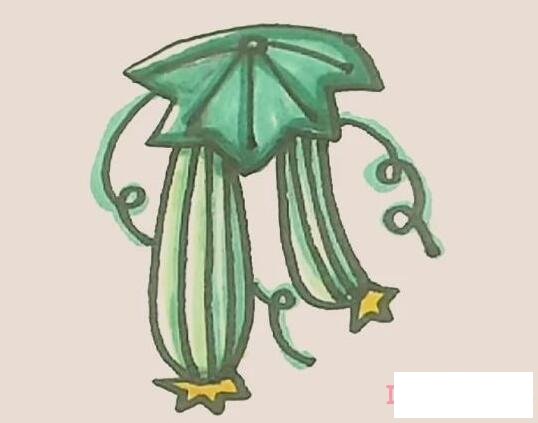 丝瓜简笔画怎么画简单好看涂颜色