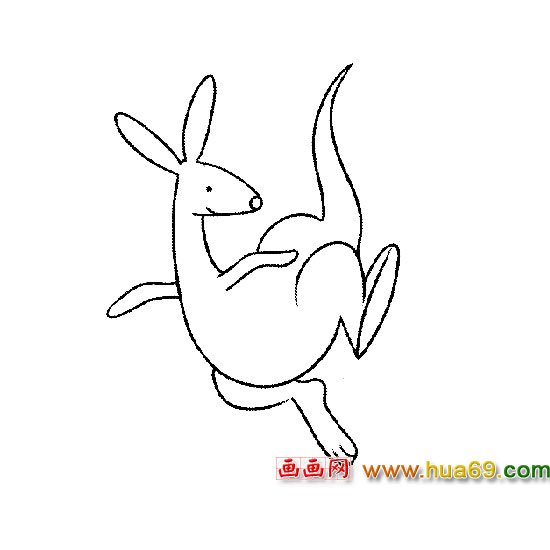 袋鼠【动物简笔画】3