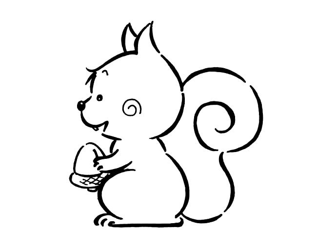 抱松果的小松鼠简笔画图片