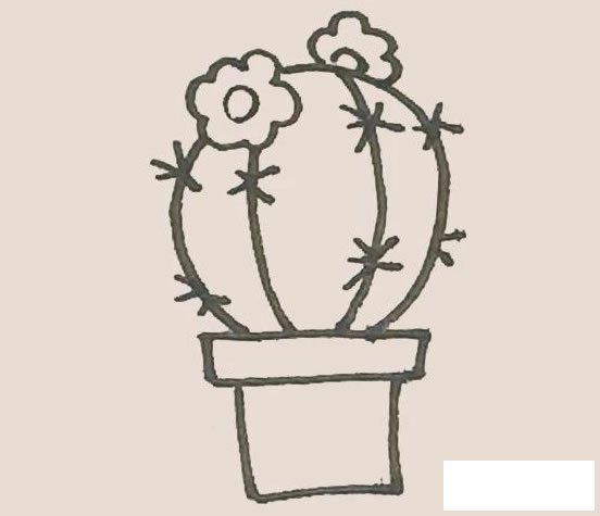 仙人球花简笔画图片