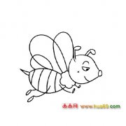 飞翔的蜜蜂简笔画1