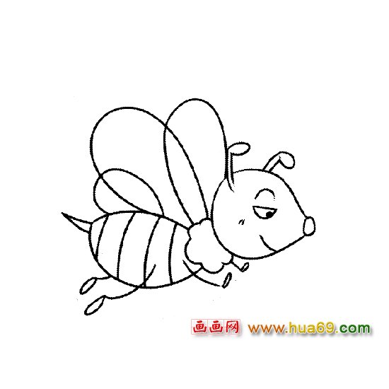 飞翔的蜜蜂简笔画1