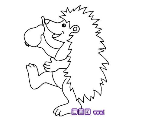 小刺猬吃梨子简笔画