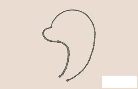 海豚简笔画图片