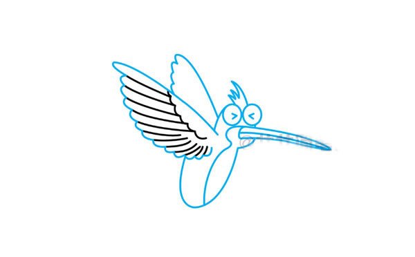 蜂鸟简笔画