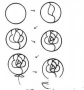 简单漂亮的玫瑰花简笔画画法_怎么画简单漂亮的