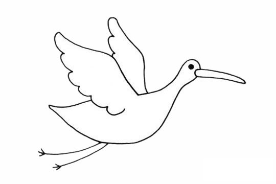 白鹤简笔画图片