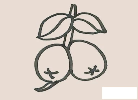 枇杷简笔画图片