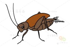 如何画蟋蟀简笔画