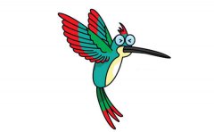 蜂鸟的画法步骤图片大全