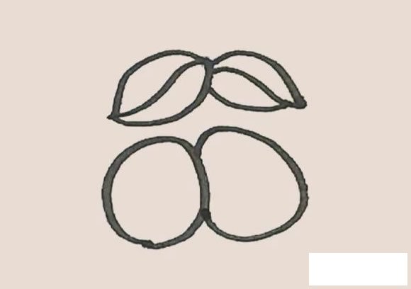 枇杷简笔画图片