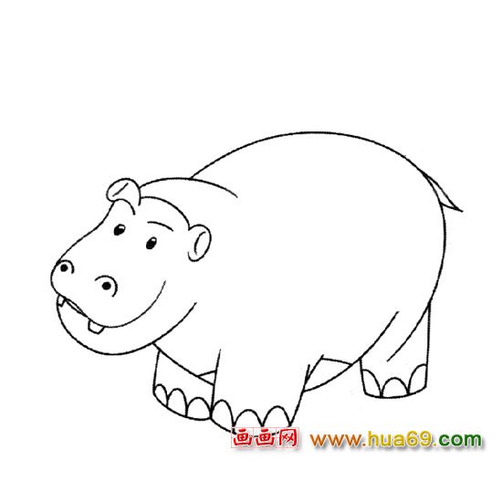 河马【动物简笔画】3