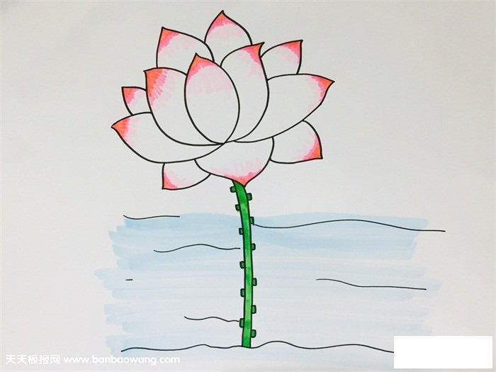 一步一步教我画荷花