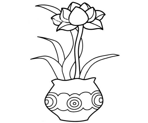 盆栽花朵简笔画图片
