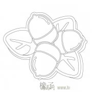 儿童简笔画：一个大橡子