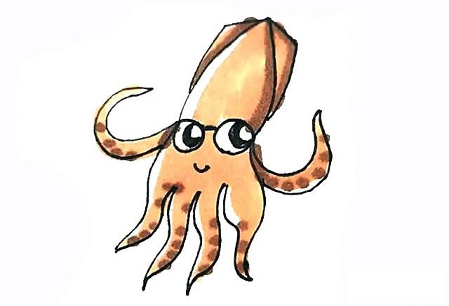 卡通鱿鱼简笔画