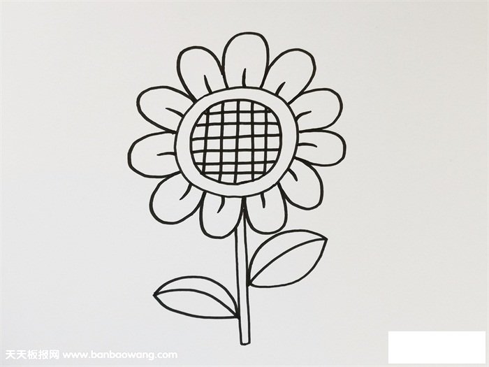 向日葵简笔画彩色