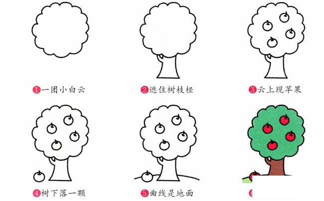 苹果树植物简笔画步骤图片大全
