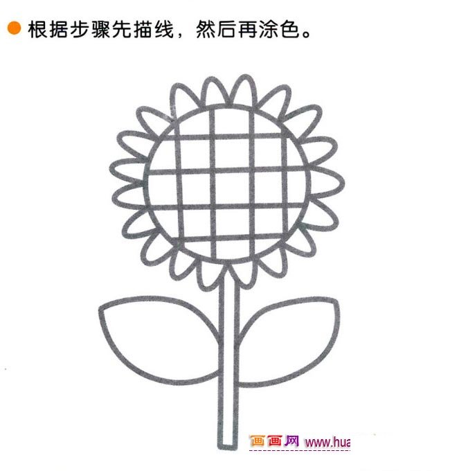 儿童简笔画：四步画向日葵图解教程