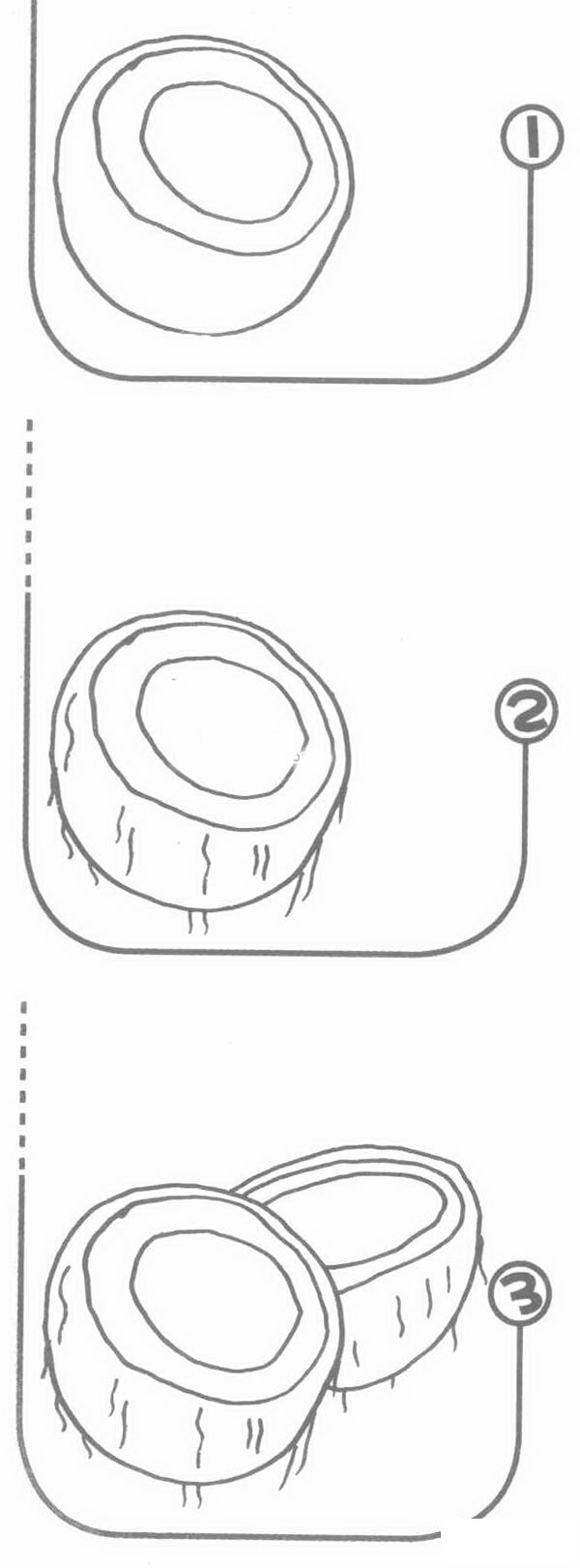椰子简笔画
