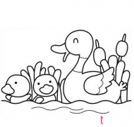 小鸭子简笔画，学游泳的小鸭子
