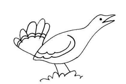 鸨鸟简笔画图片