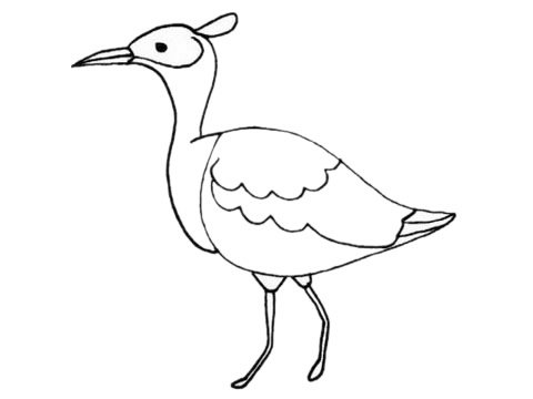 鸨鸟简笔画图片