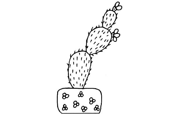 仙人掌盆栽简笔画