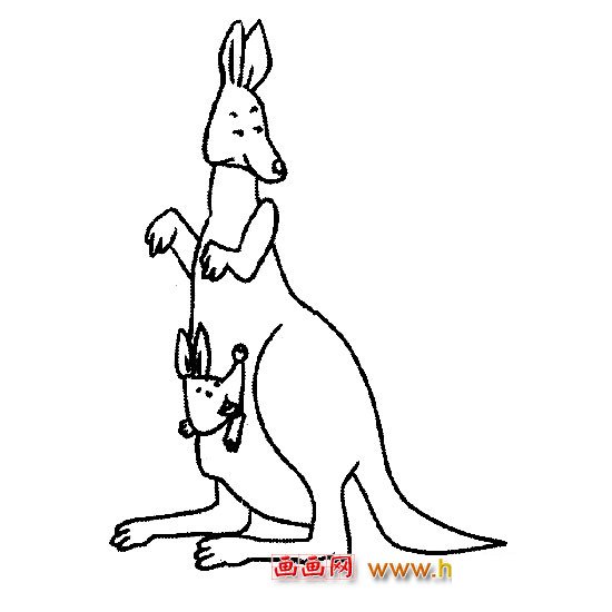 简笔画（袋鼠母子）4