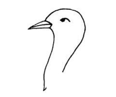 鸨鸟简笔画图片