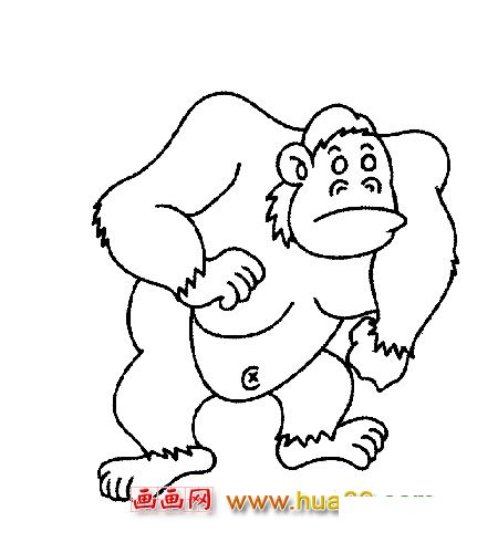 猴子简笔画：大猩猩2