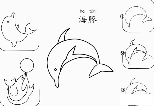 海豚怎么画简笔画图片