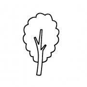 大树的简易画法秋天的大树