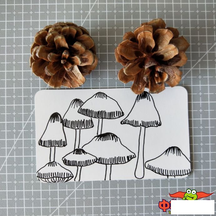 蘑菇怎么画简笔画图片,蘑菇简笔画图片大全