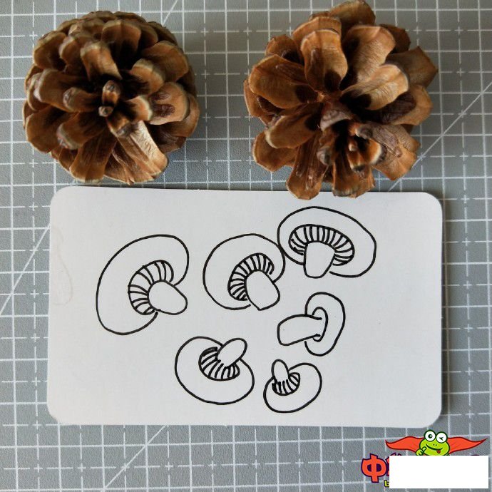蘑菇怎么画简笔画图片,蘑菇简笔画图片大全
