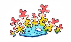 珊瑚简笔画的画法步骤图教程