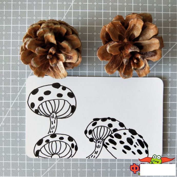 蘑菇怎么画简笔画图片,蘑菇简笔画图片大全