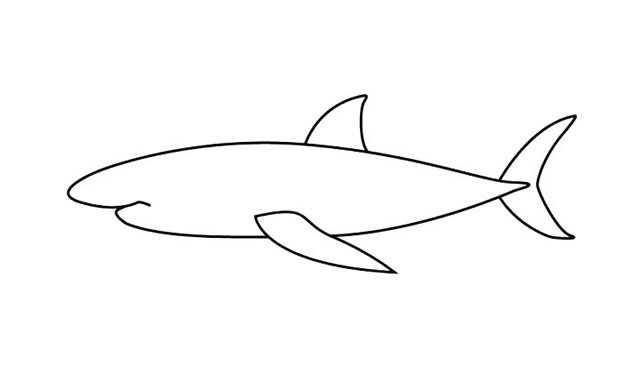 鲨鱼简笔画