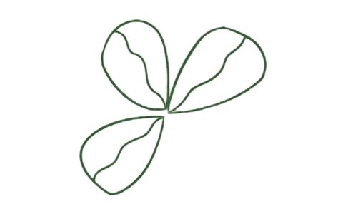 三叶草简笔画图片