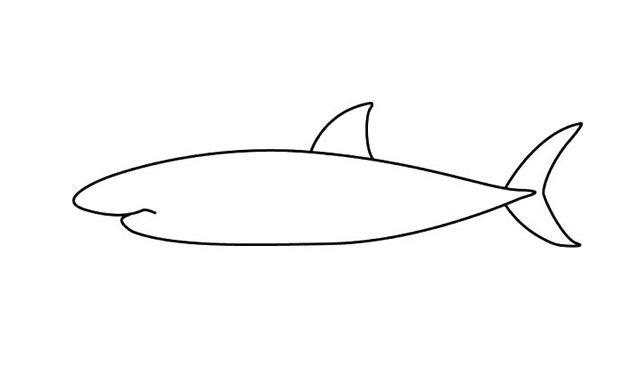 鲨鱼简笔画