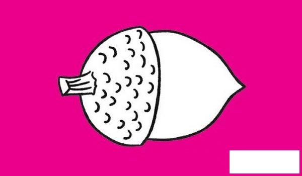 坚果简笔画图片